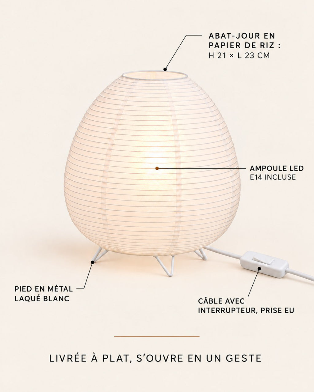 Dimensions et contenu de la lanterne en papier de riz